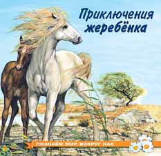 Книжка А5 Приключения жеребенка