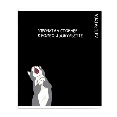 Тетрадь темат. 48л Коты мемы Литература