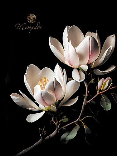 Тетрадь гребень  80л Магнолия