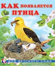Книжка Для детского сада. Как появляется птица