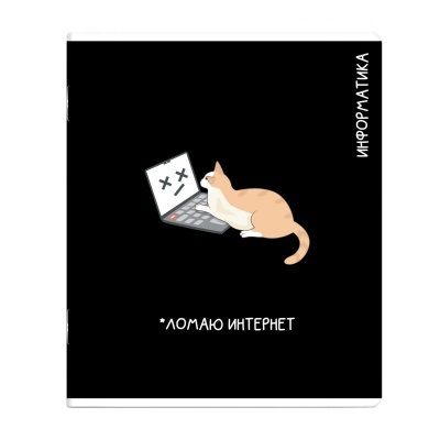 Тетрадь темат. 48л Коты мемы Информатика