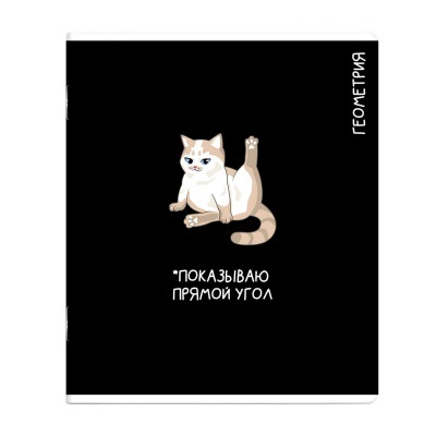 Тетрадь темат. 48л Коты мемы Геометрия