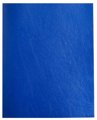 Тетрадь 48л Бумвинил Бордо АКЦИЯ