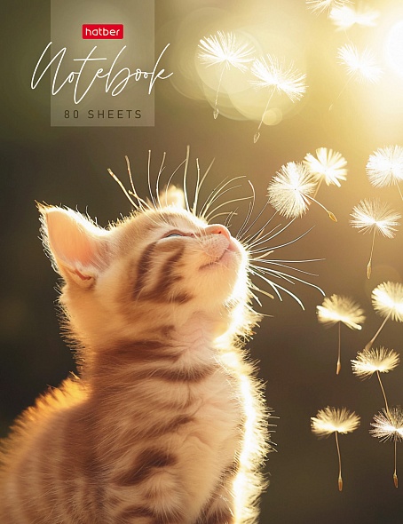 Бизнес-блокнот А5  80л 7БЦ Солнечный котик