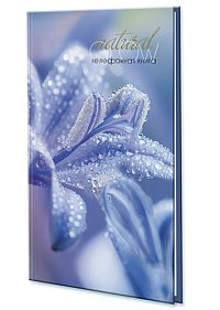 Книжка телеф  А5 80л Лилия, линия