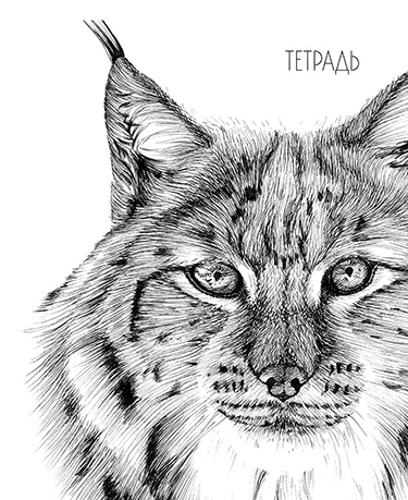 Тетрадь 40л Рысь