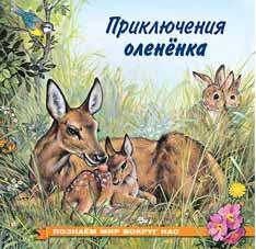 Книжка А5 Приключения олененка