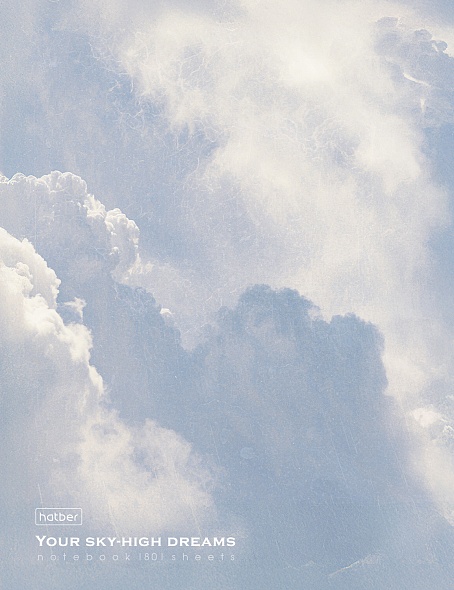 Бизнес-блокнот А5  80л 7БЦ Dream