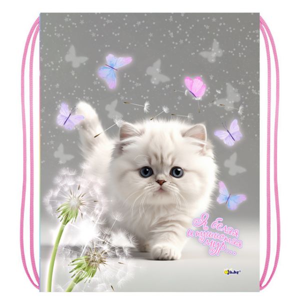 Мешок для обуви Белый котик, 330*420