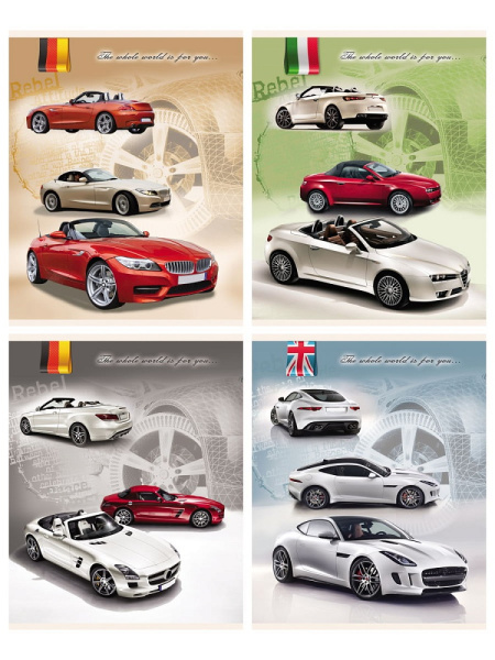 Дневник музык. картон Белая гитара-1