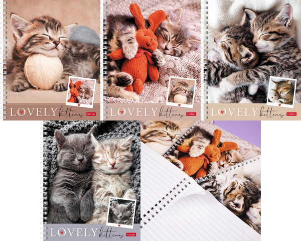 Тетрадь гребень линия 48л Мяу-котики, 4диз.