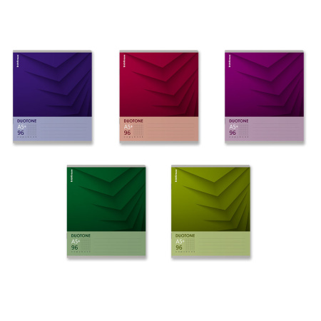 Тетрадь 96л Duotone Next