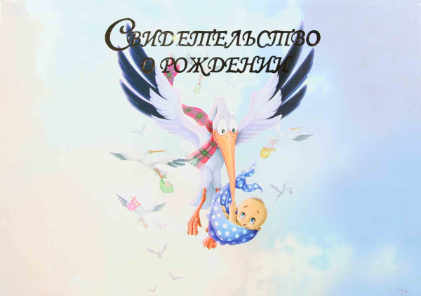 Папка Св-во о рождении А5 Аист с файлом