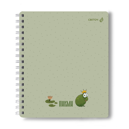 Тетрадь гребень 48л Пикми, пластик.обл.
