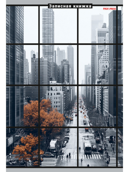 Кн.записная А5 7Бц  80л Мегаполис в окне