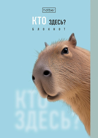 Блокнот А6 32л Кто здесь?