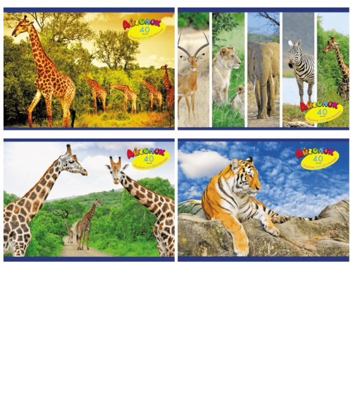 Альбом 40л Грациозные животные