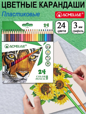 Карандаши .пластиковые Acmeliae 24цв