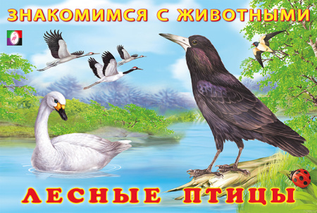 Книжка А5 Знакомимся с животными. Лесные птицы