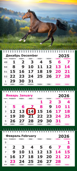Календарь квартальный 3гр/3бл 2026г Лошадь на свободе,магнит.курс