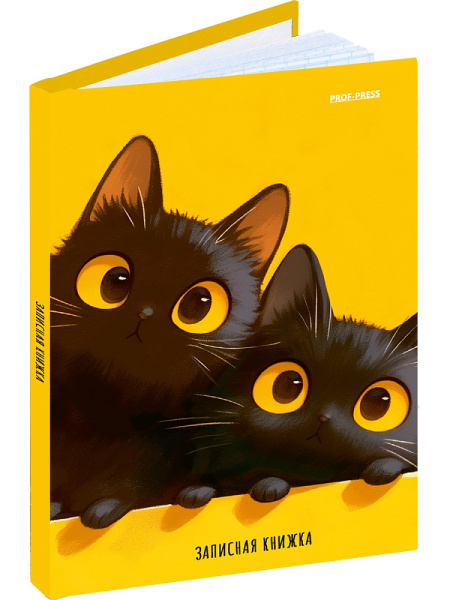 Кн.записная А6 7Бц  48л Два чёрных котика, лён