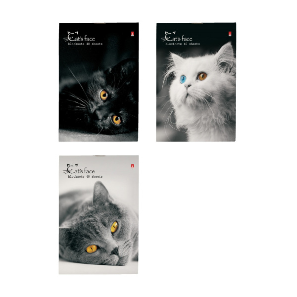 Блокнот А6  40л Кошки