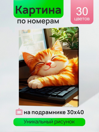 Картина по номерам 30*40 см Спящий милый котик
