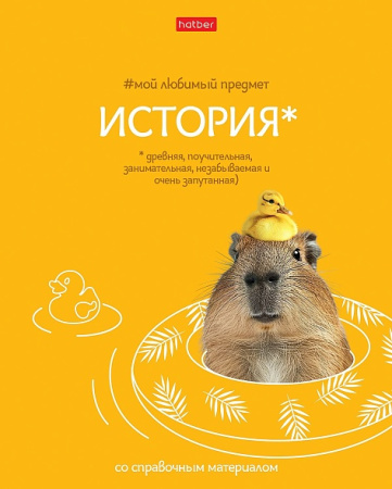 Тетрадь темат. 48л Мой любимый предмет История, софт-тач