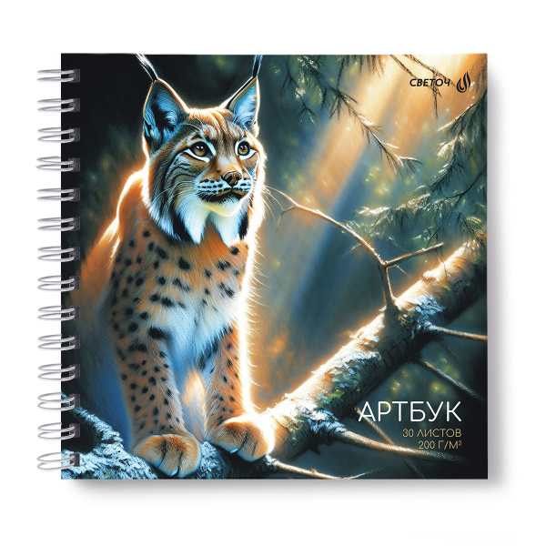 Скетчбук/гребень 205*205  30л Лесная грация, жест. подл.,200г