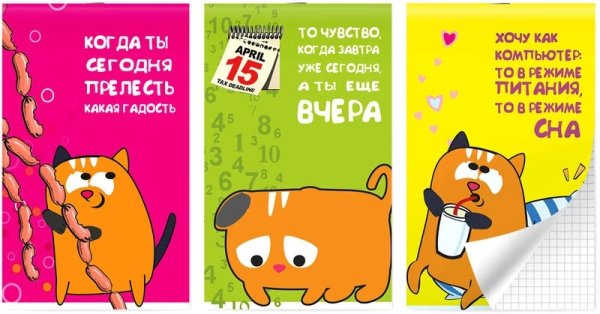 Блокнот А6  30л Рыжий кот