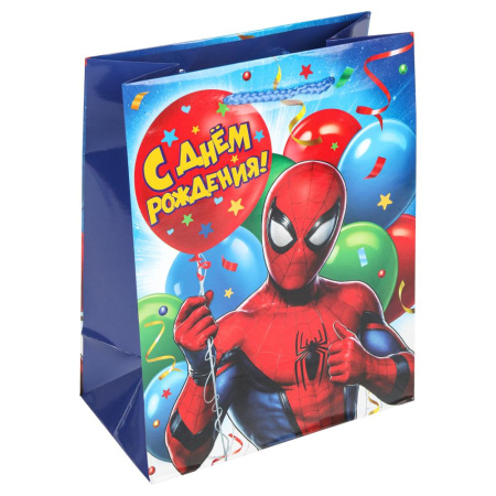 Пакет подарочный 21*26 Супергерои