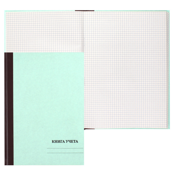 Книга Учета 7Бц  96л. клетка, газетка