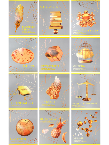 Тетрадь темат. комплект 12предм. 48л Золото знаний, софт-тач, $