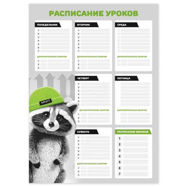 Расписание уроков А3 Енот в шапочке