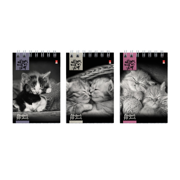 Блокнот/гребень  А7 40л Кошки, 3 вида