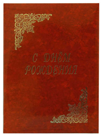 Папка адресная "С Днем рождения" Гроза, бордо
