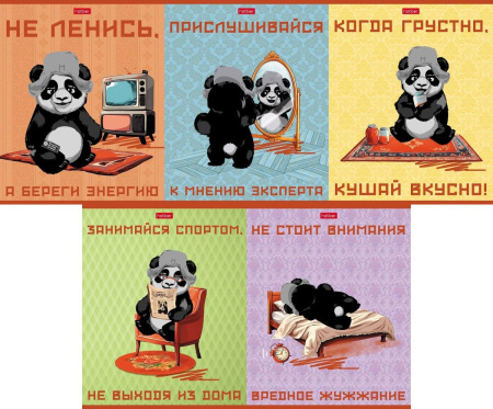 Тетрадь 48л Мудрая панда, скругл.углы, 5 диз.