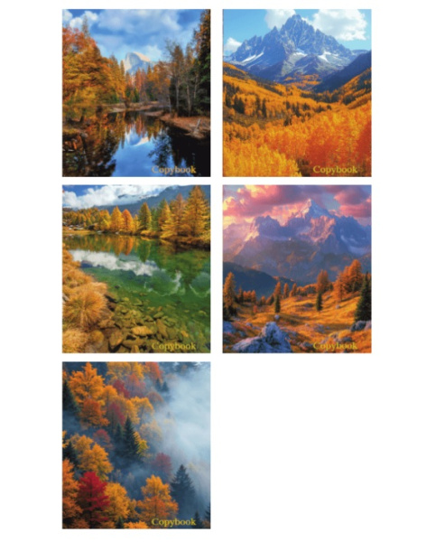 Тетрадь линия 48л Осень