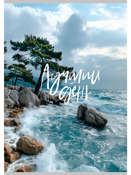 Тетрадь А4  48л Лучший день-2