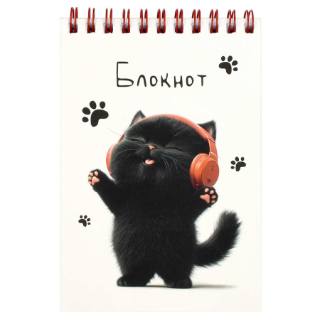 Блокнот/гребень А6 80л Котёнок в наушниках