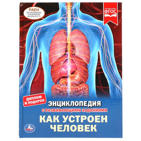 Книжка Энциклопедия с заданиями 7БЦ Как устроен человек