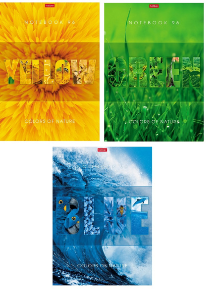 Тетрадь А4  96л Гармония цвета, выб.лак
