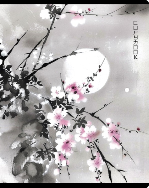 Тетрадь линия 48л Сакура