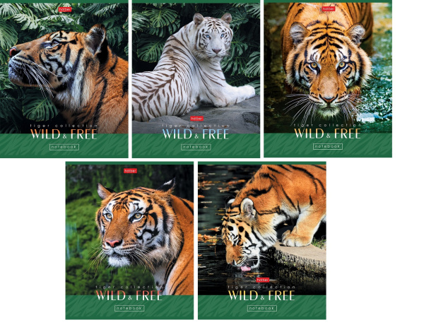 Тетрадь 60л Дикие и свободные