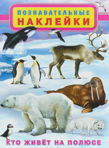 Книжка А4 Познавательные наклейки. Кто живет на полюсе, многораз