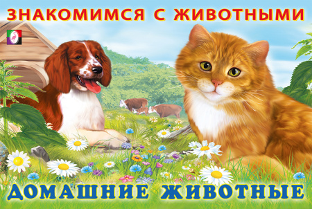 Книжка А5 Знакомимся с животными. Домашние животные