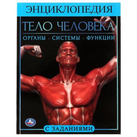 Книжка Энциклопедия с заданиями 7Бц Тело человека. А4