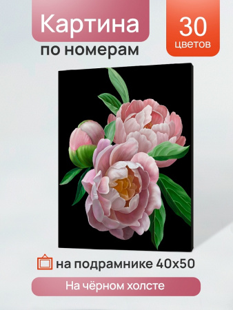 Картина по номерам 40*50 см Нежные пионы