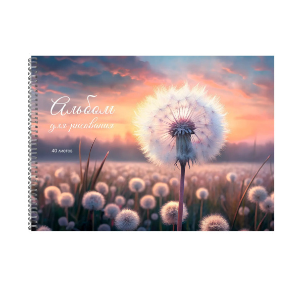Альбом/гребень 40л Поле одуванчиков, 120гр