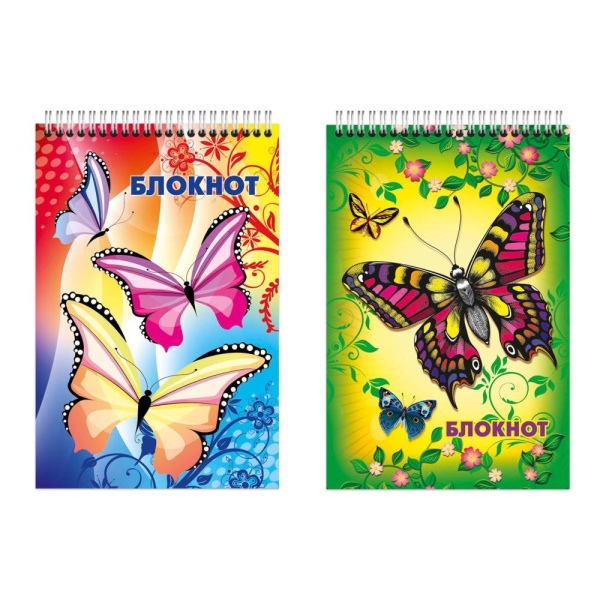 Блокнот/гребень  А6  48л Бабочки